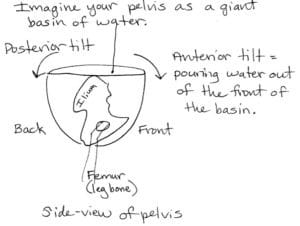 pelvic tilt bowl of water